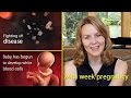 24 Weeks Pregnant: Watch the Growth of Your Baby this Week