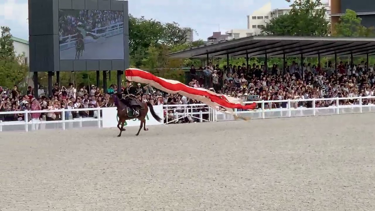 20250923愛馬の日〜母衣引④ - YouTube