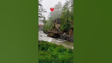 جَنَّاتِ عَدْنٍ الَّتِي وَعَدَ الرَّحْمَٰنُ عِبَادَهُ بِالْغَيْبِ/تلاوات رائعة 🎧❤️🕊