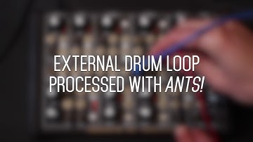 Ants! Prototype - as an fx processor
