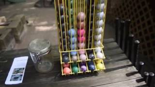 Jon's Mini Golf 2018 Tour