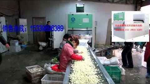 Garlic color sorter/separation video/jromchen@hotmail.com