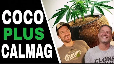 Don’t Add More Cal-Mag to Your Coco Until You Know About THIS