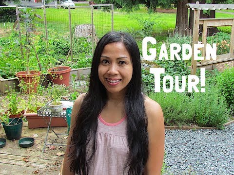 Wideo: Regionalna lista rzeczy do zrobienia w ogrodnictwie: Co robić w ogrodach północno-zachodnich w czerwcu
