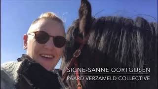 #Stayinspired by Signe-Sanne Oortgijsen of Paard Verzameld