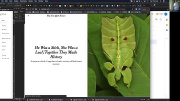 JOUR 200: What is a "nut graph"?