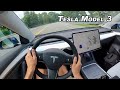 2021 Tesla Model 3 Performance - Is it a Driver's Car? (POV)