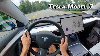 2021 Tesla Model 3 Performance  Is it a Driver's Car? (POV)