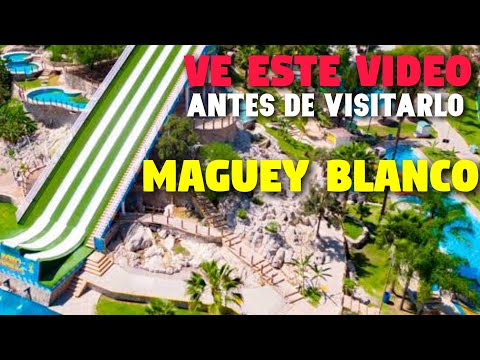 Maguey Blanco balneario Hidalgo | Todo lo que tienes que saber
