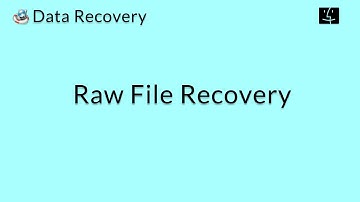 Data Recovery (Mac): Recover the Raw Data of Lost Files on Mac