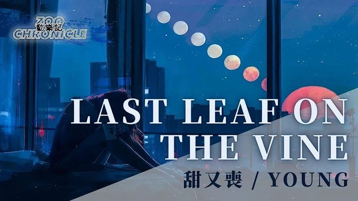 Young, 甜又喪樂隊 - Last Leaf on the Vine | Maybe I'll find another one | 動態歌詞 Lyric Video - DayDayNews