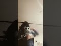 ゴリラが踊る好きすぎて滅#好きすぎて滅 #おどってみた #shorts #ゴリラ