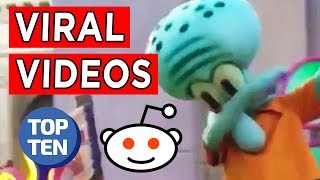 Daily Dose of Reddit | r/viralvideos Top 25 Viral Videos of All Time | Funny Clips & Videos