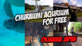 How to Enjoy the Churaumi Aqurium for free | Couple Travel Vlog | Okinawa Japan