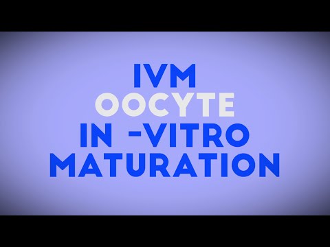 Video: Rozdiel Medzi IVM A IVF
