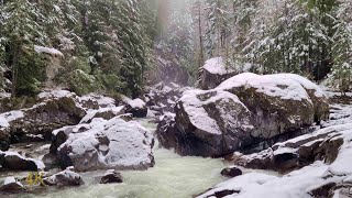 1h virtual tour in 8K of the epic and beautiful Province of British Columbia