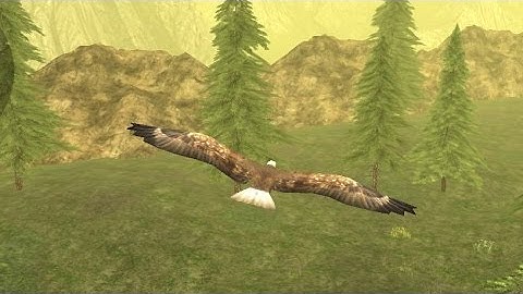 Wild Eagle Sim 3D Android Gameplay