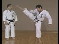 Karate Kicks