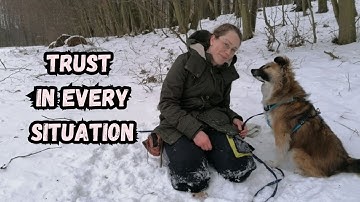 Building TRUST with a new Rescue Dog can actually be EASY - with these tips