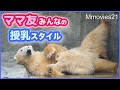 突然キレたホッキョクグマの赤ちゃんフブキ 授乳の後に向かった場所は？1日の授乳の全記録