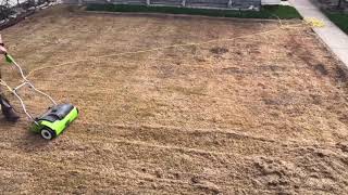 Greenworks Dethatcher, Seeding Rye Grass Grandslam