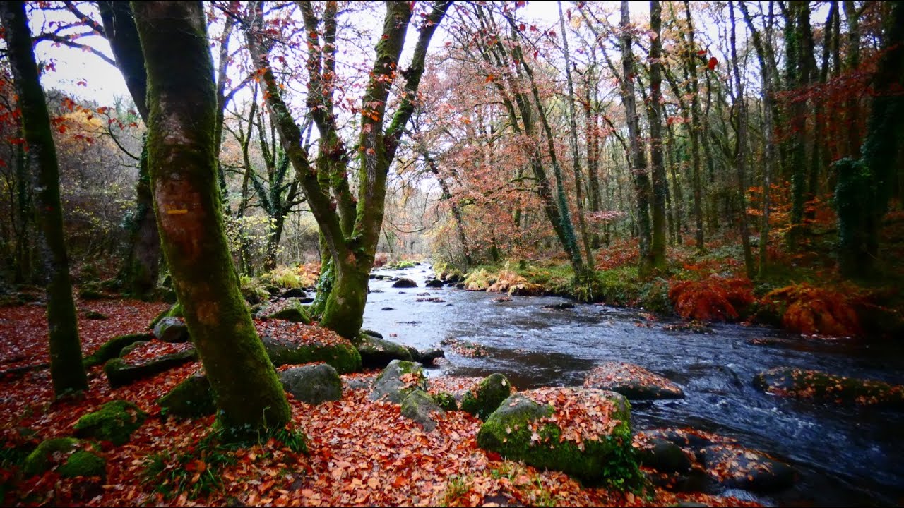Le Faouët 2ème Partie