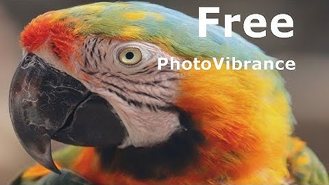 PhotoVibrance Videobackground