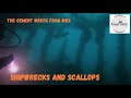 Hidden World War Two shipwreck #scallops #diving #scuba #shipwrecks