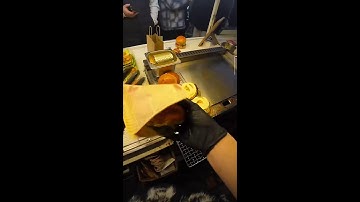 Trying to Beat Google Snake Game🐍 Day 10