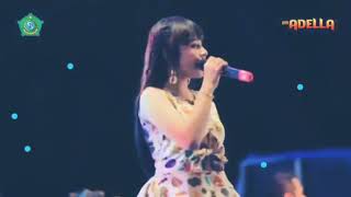 Short story wa dangdut