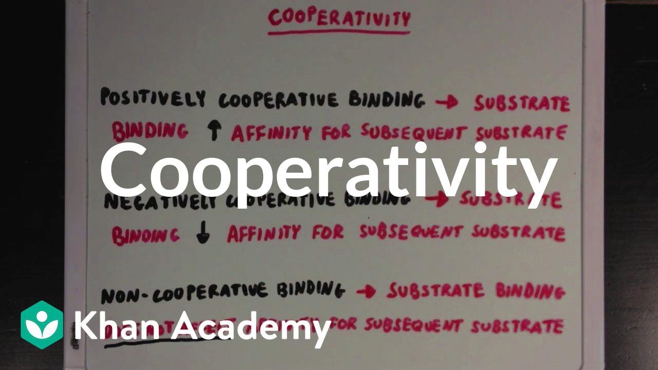 Cooperativity Biomolecules MCAT Khan Academy YouTube