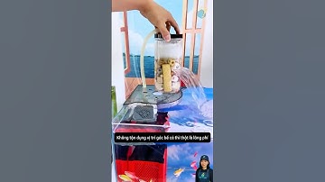 Kệ để đồ đặt góc bể cá tối ưu không gian cực tiện lợi | Corner shelf for aquarium #aquatic #shorts