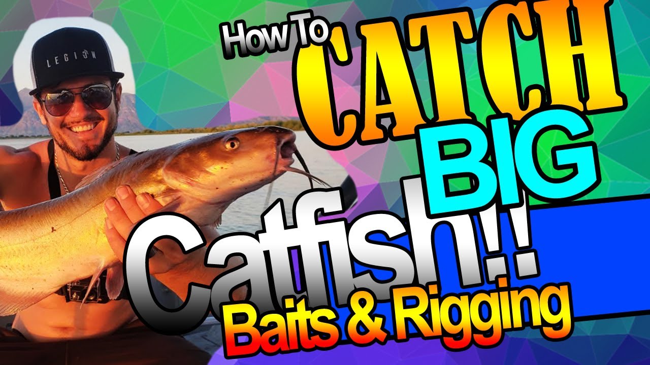 Best Fishing Tips How to Catch BIG Catfish Baits & Rigging Josh