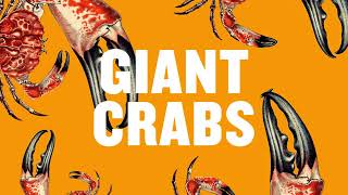 There Are No Giant Crabs In This Novel: A Novel of Giant Crabs