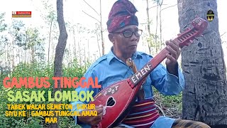 TABEK WALAR SEMETON | SUKUR SIYU KE || gambus tunggal amaq mar