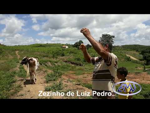 AÇUDES E BARREIROS CHEIOS