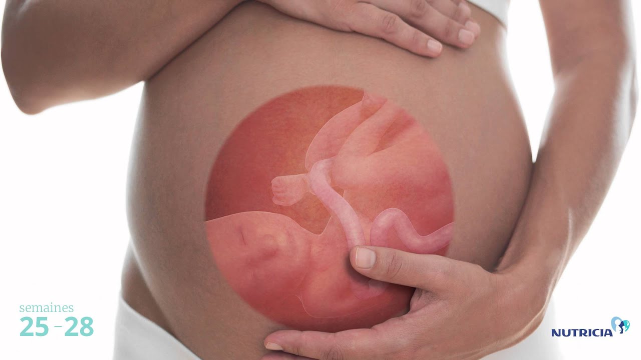 Grossesse Ce Qui Se Passe Pendant 9 Mois Dans Le Corps De La Femme Laurence Pernoud