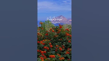 سورة الاخلاص القارئ رعد الكردي