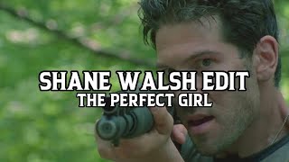 Shane Walsh Edit - The Perfect Girl