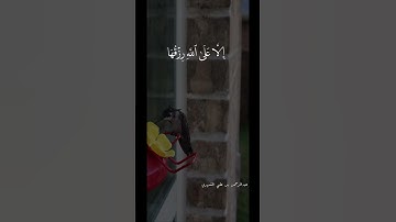🎗القارئ : عبدالرحمن الشهري🎗​📖 سورة هود الآية ۝ ٦