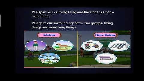 STD 3 rd EVs, 1.Our Environment