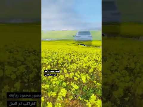كفراكب ام النمل المصور محمود ربابعه
