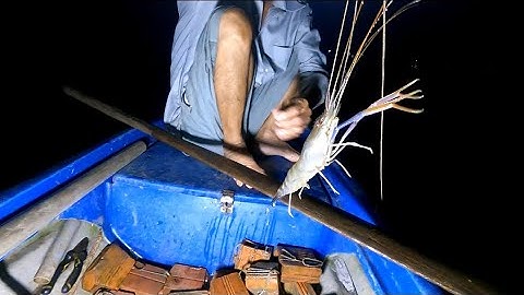 Vào mùa tôm càng xanh rồi thả câu đường dính thấy mê 