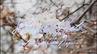 Setengah Hati