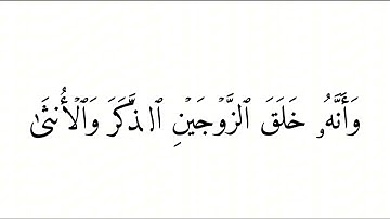 وأن ليس للإنسان إلا ما سعى ● ادريس ابكر  ● سورة النجم ●كرومات