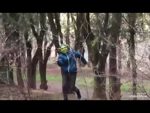 შრეკების შემთხვევითი შეხვედრა / Shreks accidental meeting