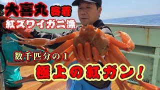 【大喜丸】深海1,000ｍから極上の紅ズワイガニを獲る漢！【越前漁港の漁師達】