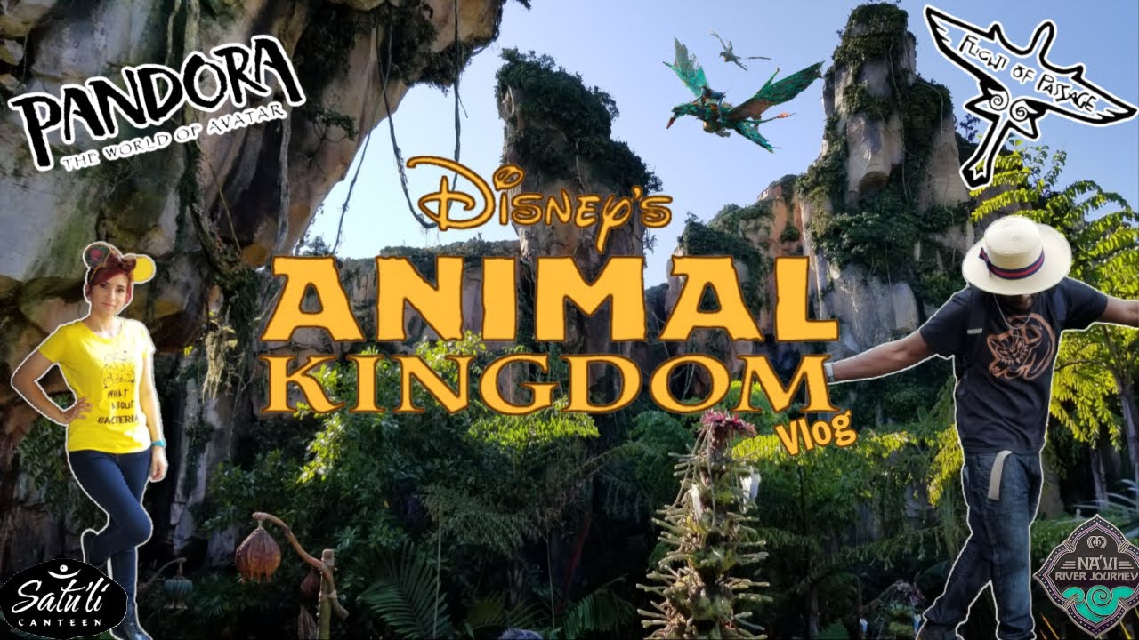 ANIMAL KINGDOM VLOG | MINNIE MELLY