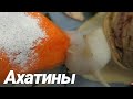 Большие улитки альбиносы жадно едят