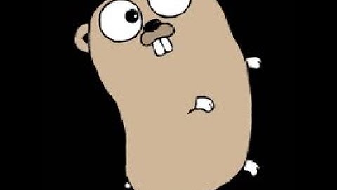 Golang Port Scan(Golang ile Tcp ve Url port tarama)